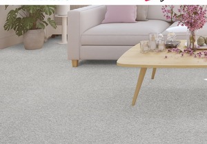 Changing Lives Collection Carpets