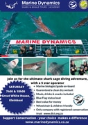 Next Shark Cage Diving Trip: 25 May 2024