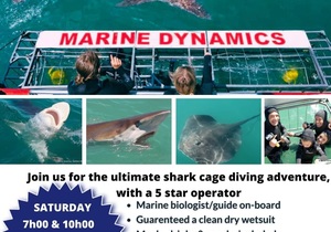 Next Shark Cage Diving Trip: 25 May 2024