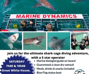 Next Shark Cage Diving Trip: 25 May 2024