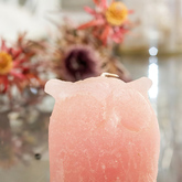 Candles - Kapula Candles - Xplorio™ Bredasdorp