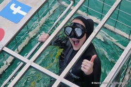 Next Shark Cage Diving Trip: 28 May 2024