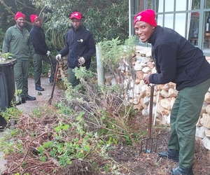 Green Futures College: Indigenous Gardening