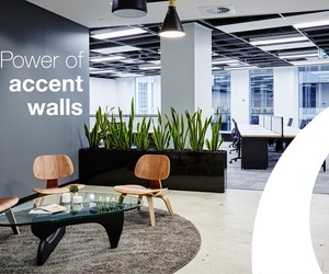 Transform Your Office Foyer with Accent Walls!