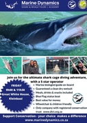 Next Shark Cage Diving Trip: 31 May 2024