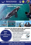 Next Marine Big 5 Trip: 31 May 2024