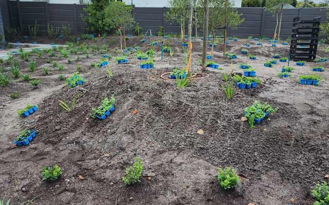 4a1ba4cb_78ea_4e08_878a_41ff0959192c_1717135868