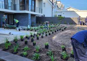 Stunning Voëlklip Garden Transformation in Progress