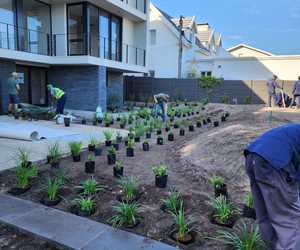 Stunning Voëlklip Garden Transformation in Progress