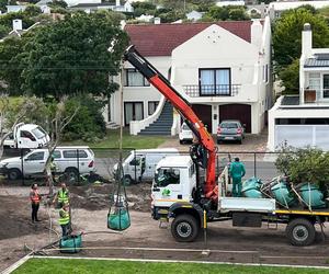 Planting Mature Apodytes Trees at House Gibson