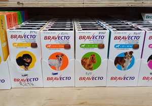 Flea, Tick, and Deworming Solutions for Cats and Dogs