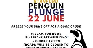Penguin Plunge 2024: Charity Event