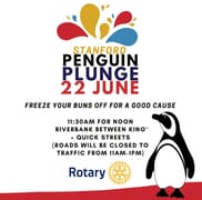 Penguin Plunge 2024: Charity Event