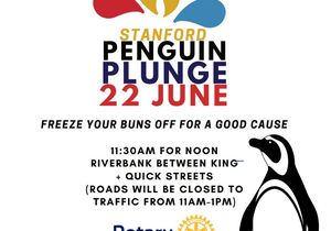 Penguin Plunge 2024: Charity Event