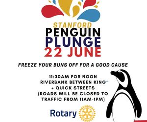 Penguin Plunge 2024: Charity Event