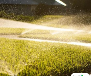 Winterize Your Irrigation System