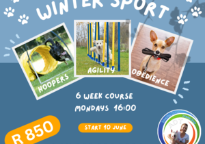 Winter Dog Sport Training Course