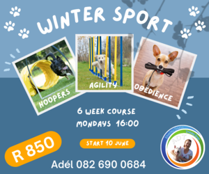 Winter Dog Sport Training Course