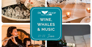 The Whales Are Back!