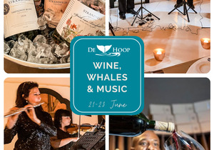 The Whales Are Back!