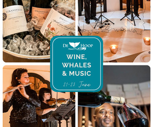 The Whales Are Back!