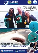 Next Shark Cage Diving Trips: 7, 8 and 9 June 2024