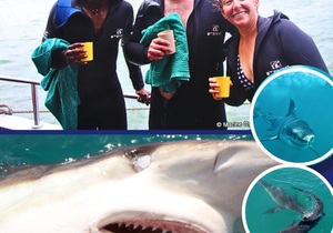 Next Shark Cage Diving Trips: 7, 8 and 9 June 2024