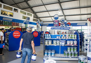 Mastering Weather-Smart Painting Techniques