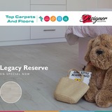 447634386_966628222133549_153396138194570045_n_1717675971