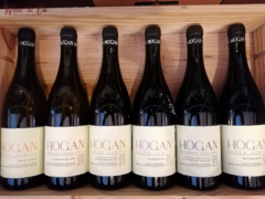 Now in Stock: HOGAN