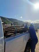 Affordable Vineyard Stakes