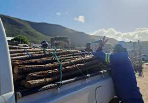 Affordable Vineyard Stakes