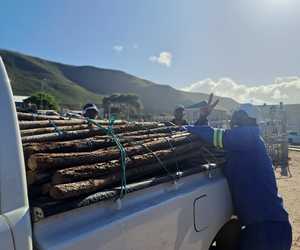 Affordable Vineyard Stakes