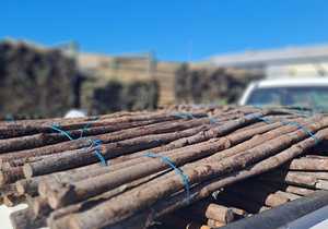 Affordable Vineyard Stakes