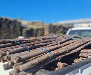 Affordable Vineyard Stakes