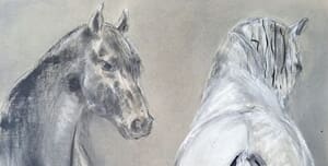 Sara Abbott Art at Intethe Gallery