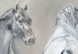 Sara Abbott Art at Intethe Gallery