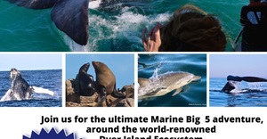 Next Marine Big 5 Trips: 10 and 11 June 2024