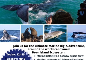 Next Marine Big 5 Trips: 10 and 11 June 2024