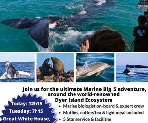 Next Marine Big 5 Trips: 10 and 11 June 2024