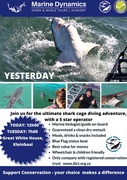 Next Shark Cage Diving Trips:10 & 11 June 2024