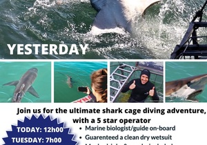 Next Shark Cage Diving Trips:10 & 11 June 2024