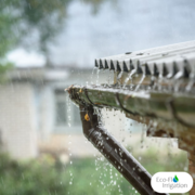 Boost Your Garden with Rainwater - Install a Water Tank