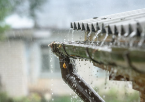 Boost Your Garden with Rainwater - Install a Water Tank