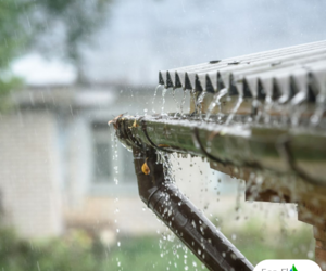 Boost Your Garden with Rainwater - Install a Water Tank