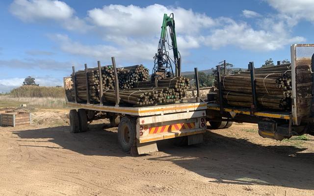 WhatsApp_Image_2024_06_12_at_09.19.47_1718178534