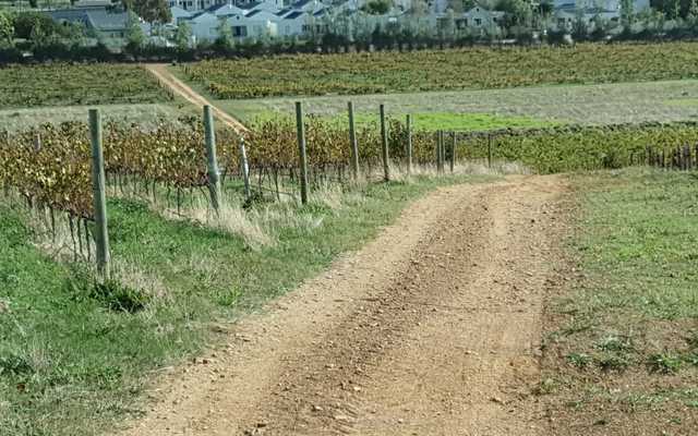 WhatsApp_Image_2024_06_12_at_09.19.47_2_1718178535