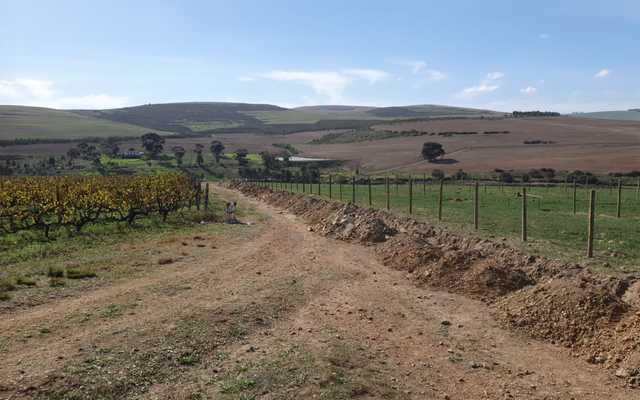 WhatsApp_Image_2024_06_12_at_09.19.47_3_1718178536