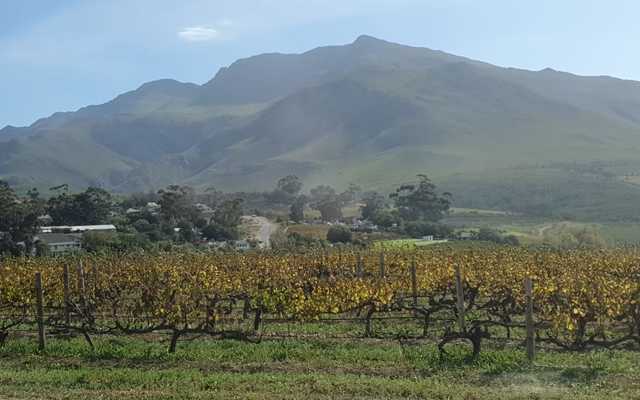 WhatsApp_Image_2024_06_12_at_09.19.48_1718178537