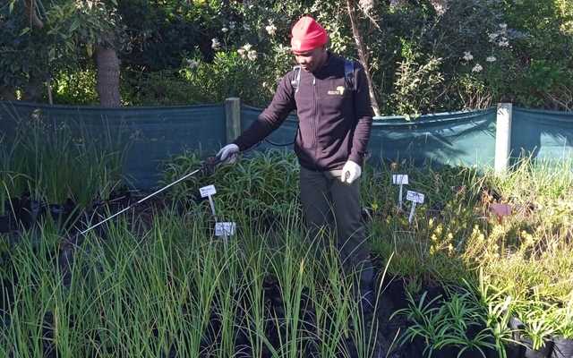 Blog_1_Horticulture_Students_1_1718178714